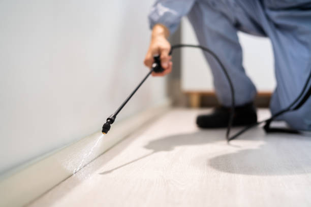 Licensed Pest Control service in Eldorado, TX - Show Me Pest Control